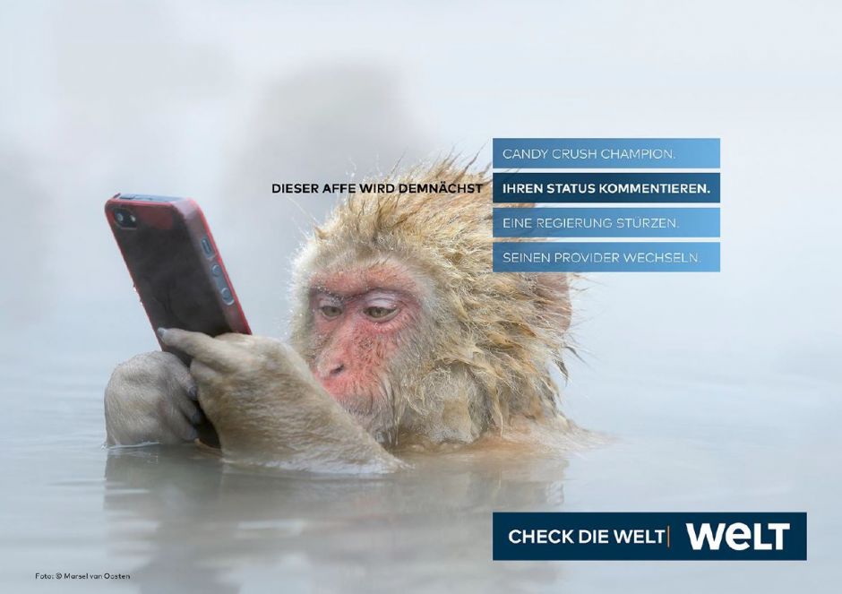 WELT Markendach-Kampagne